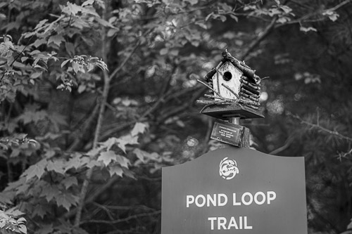 The Wild Center   |  Tupper Lake, NY - Jun 2026
